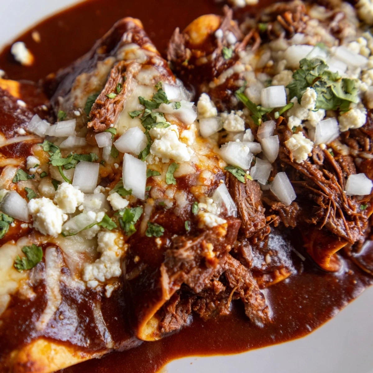 Baked birria enchiladas swimming in rich consommé with gooey cheese topping